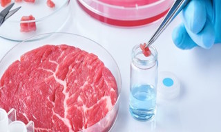 Лабораторный анализ пищевых продуктов по СанПиН в Полевской в октябре