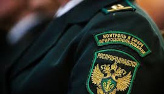 Подготовка к проверке Росприроднадзора в Полевской от ПромМир-Плв, стоимость услуги от 20530 руб.